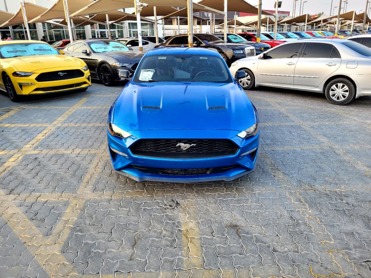 Ford Mustang - Image 3
