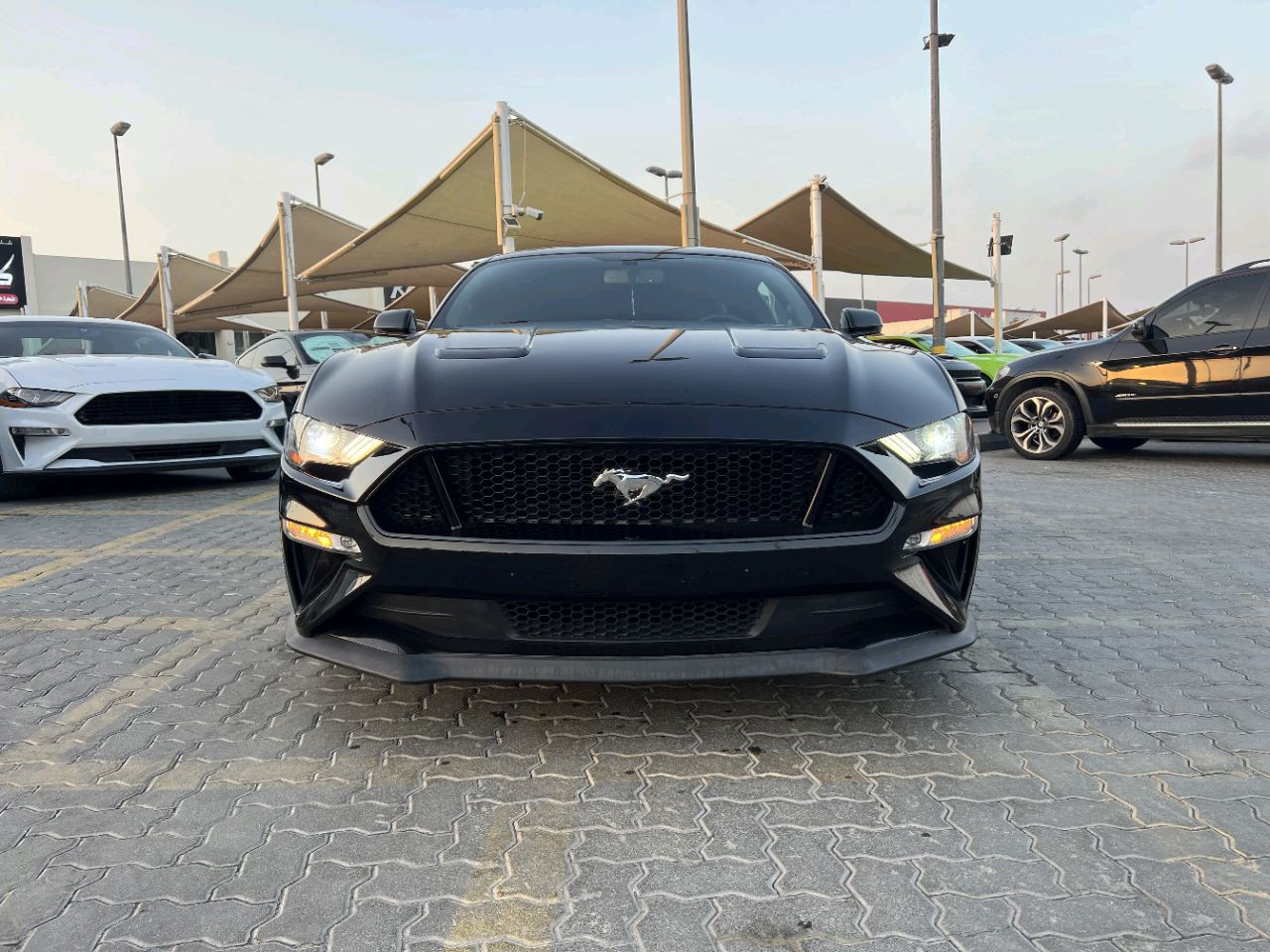 Ford Mustang - Image 3