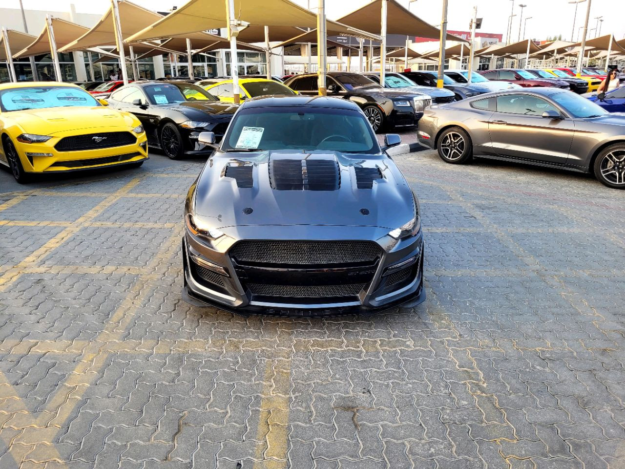 Ford Mustang - Image 3