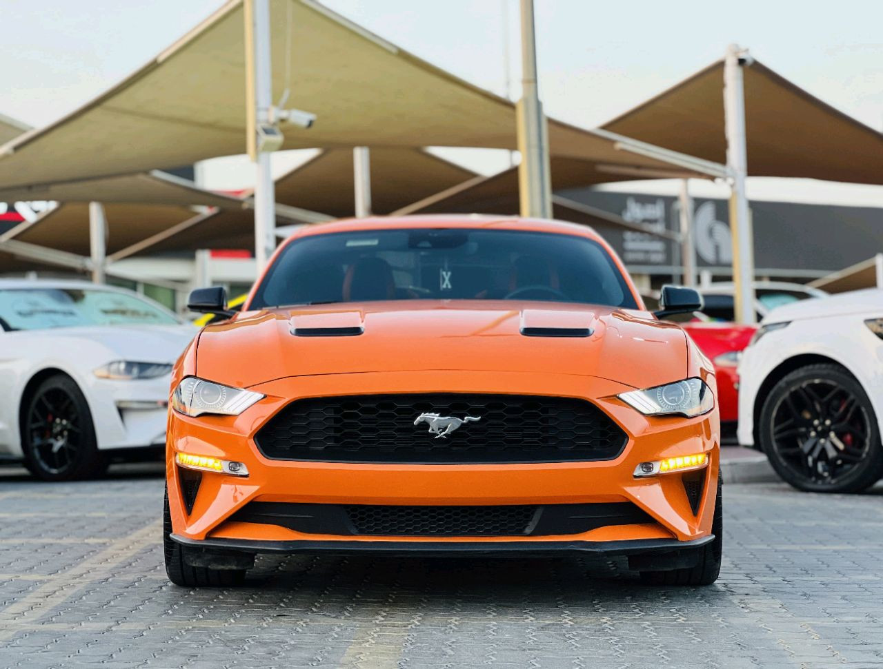 Ford Mustang - Image 4