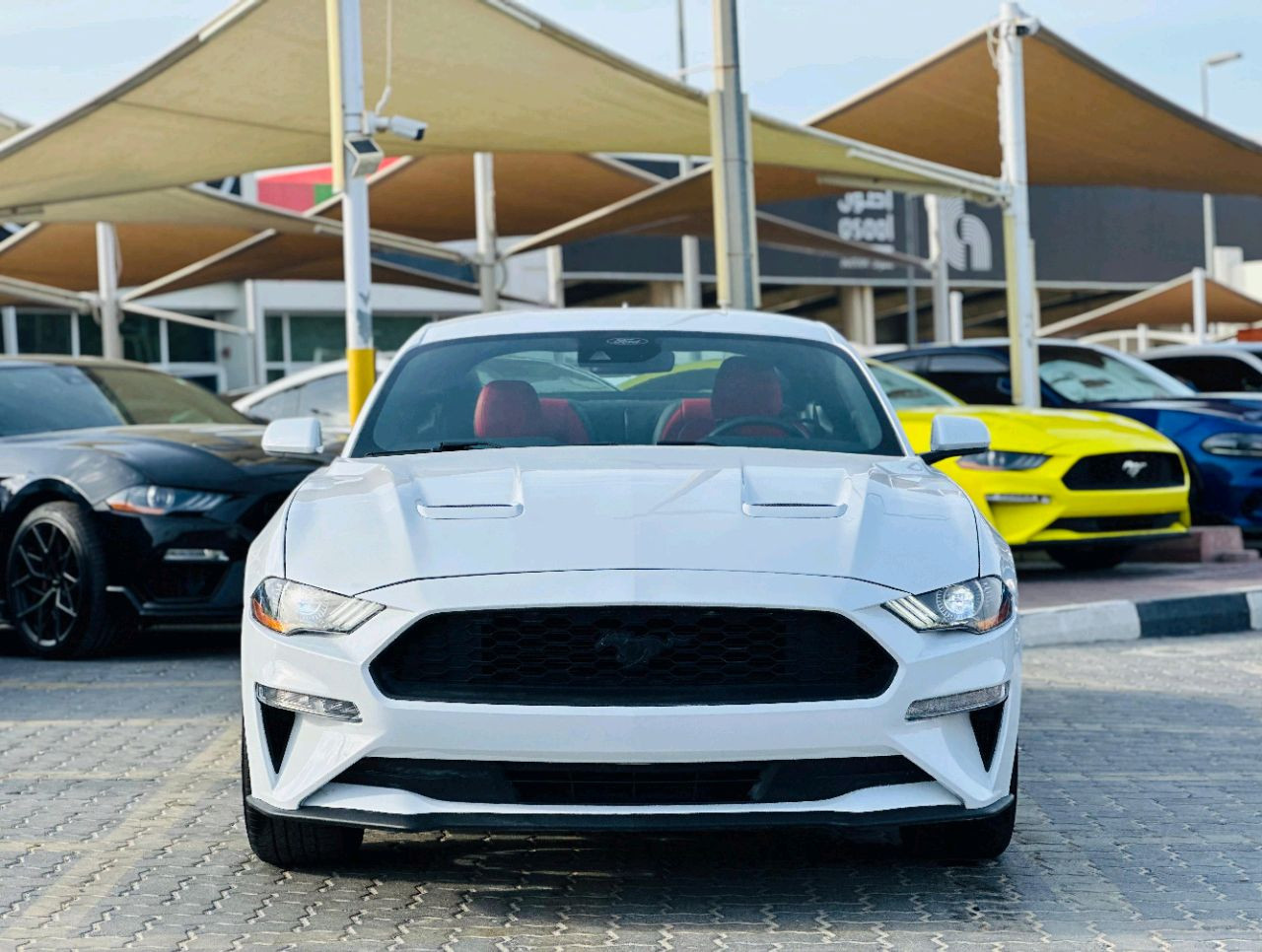 Ford Mustang - Image 3