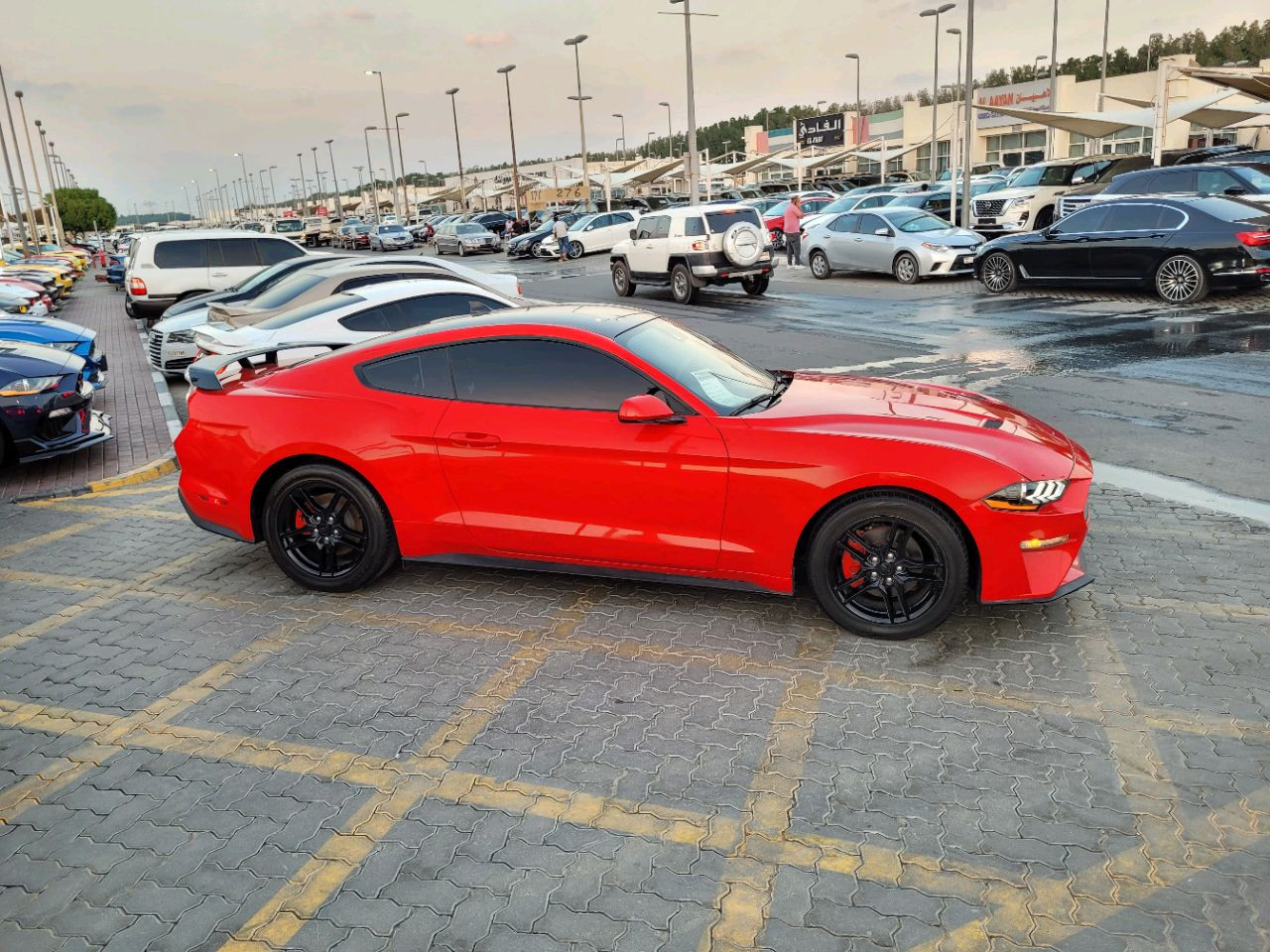 Ford Mustang - Image 5