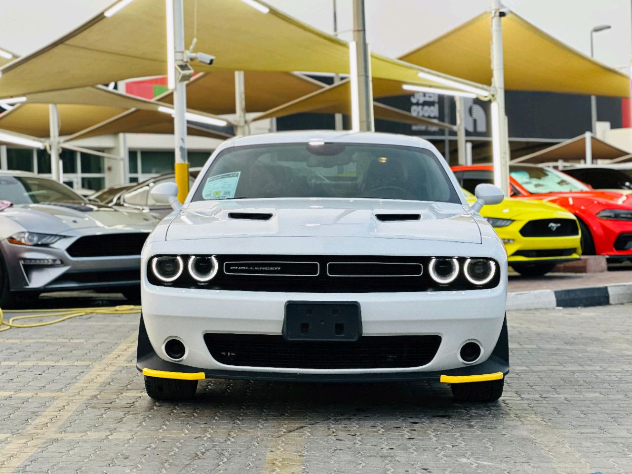 Dodge Challenger - Image 3
