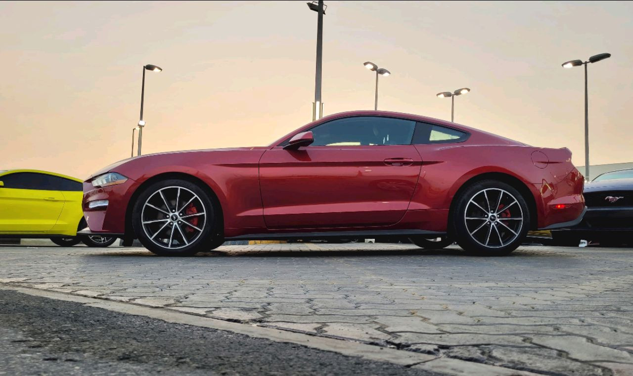 Ford Mustang - Image 7