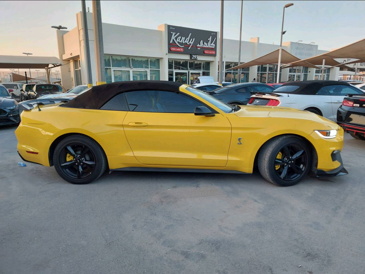 Ford Mustang - Image 5