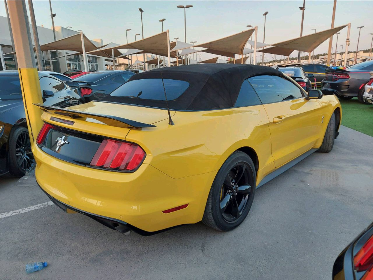 Ford Mustang - Image 3