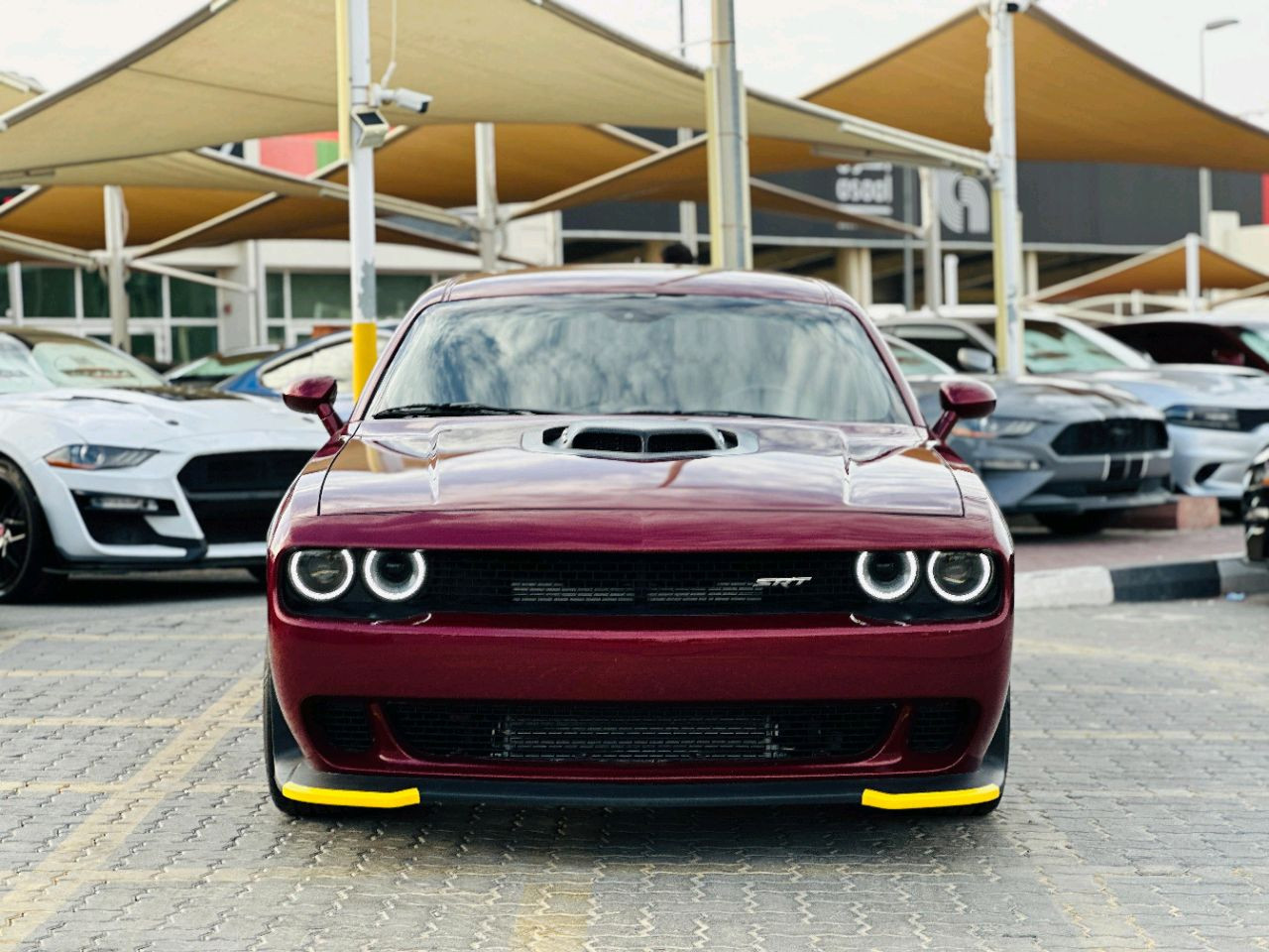 Dodge Challenger - Image 3