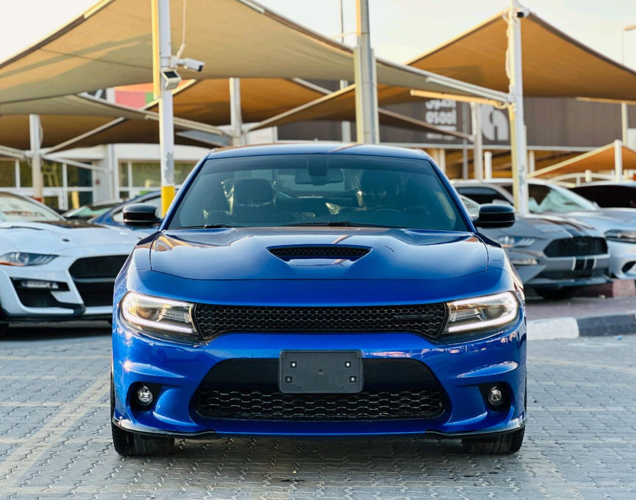 Dodge Charger - Image 3