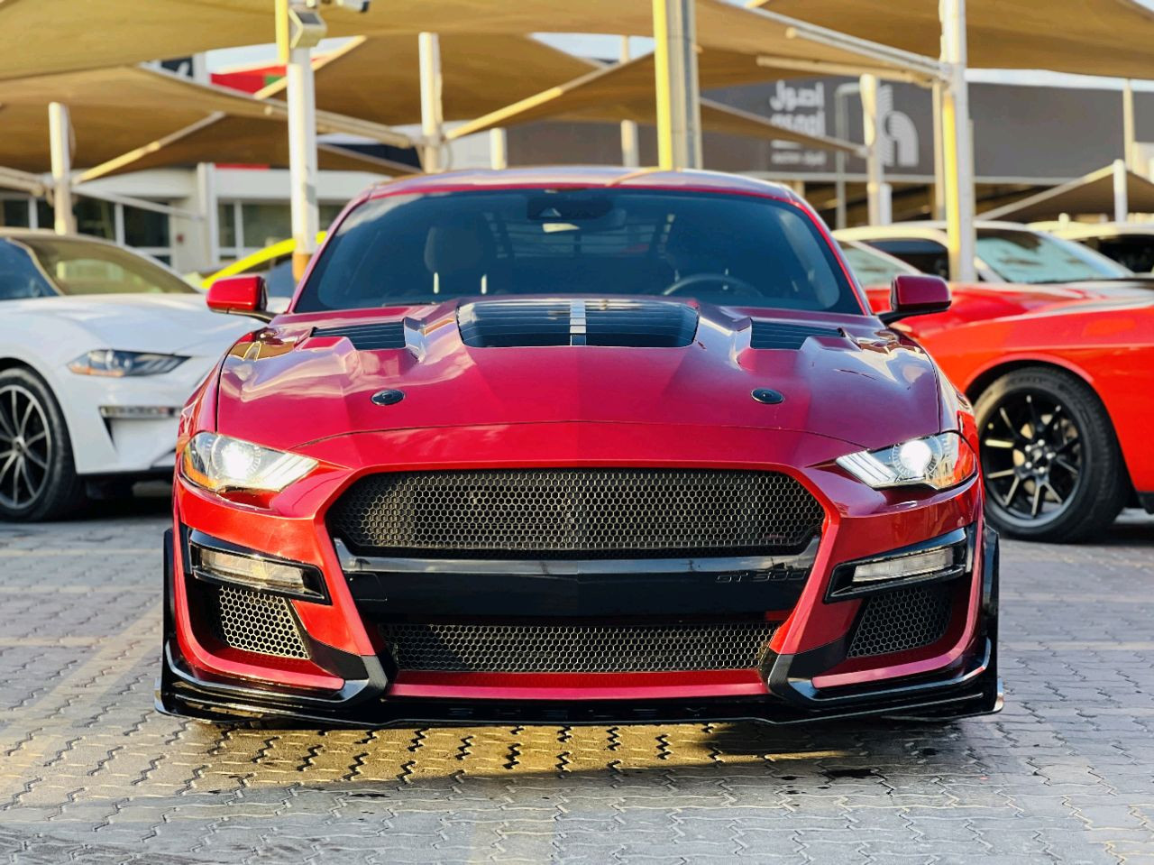 Ford Mustang - Image 3