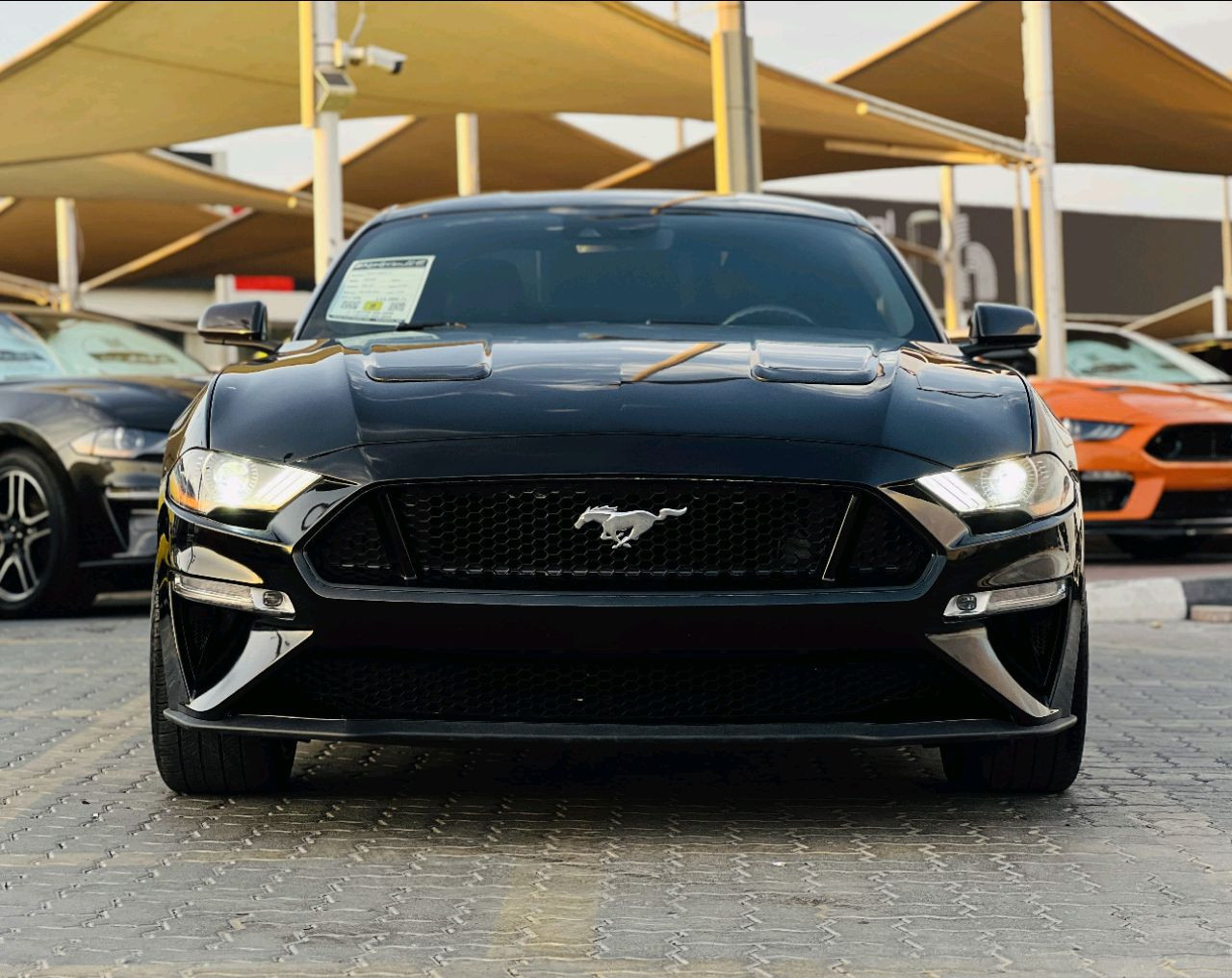 Ford Mustang - Image 3