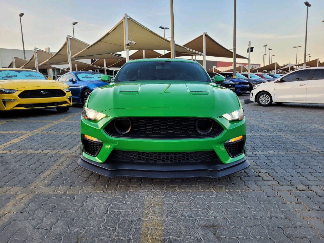 Ford Mustang - Image 4