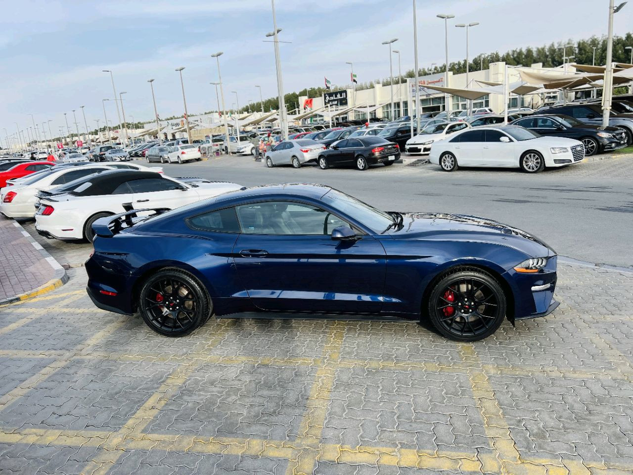 Ford Mustang - Image 5