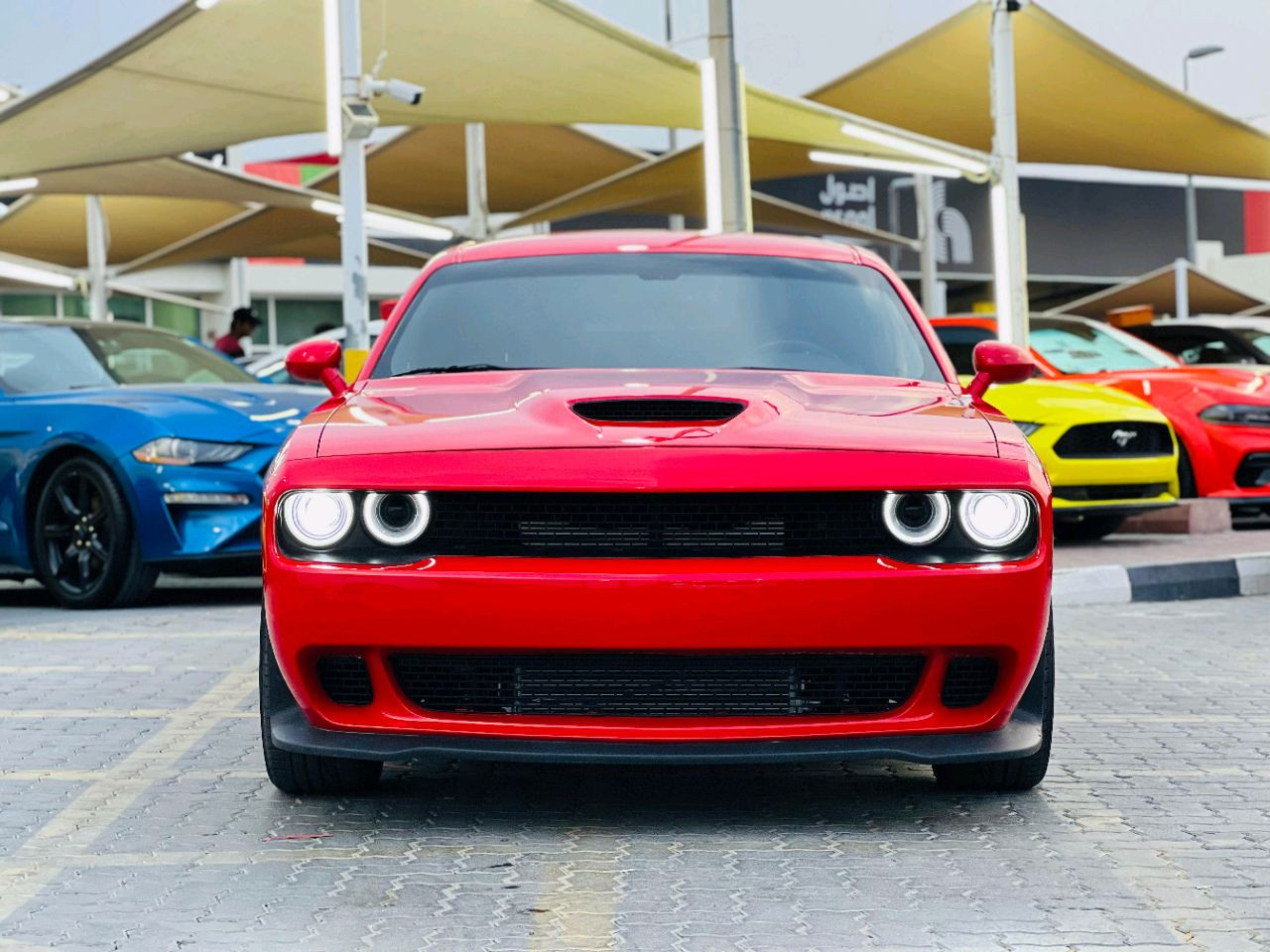 Dodge Challenger - Image 3