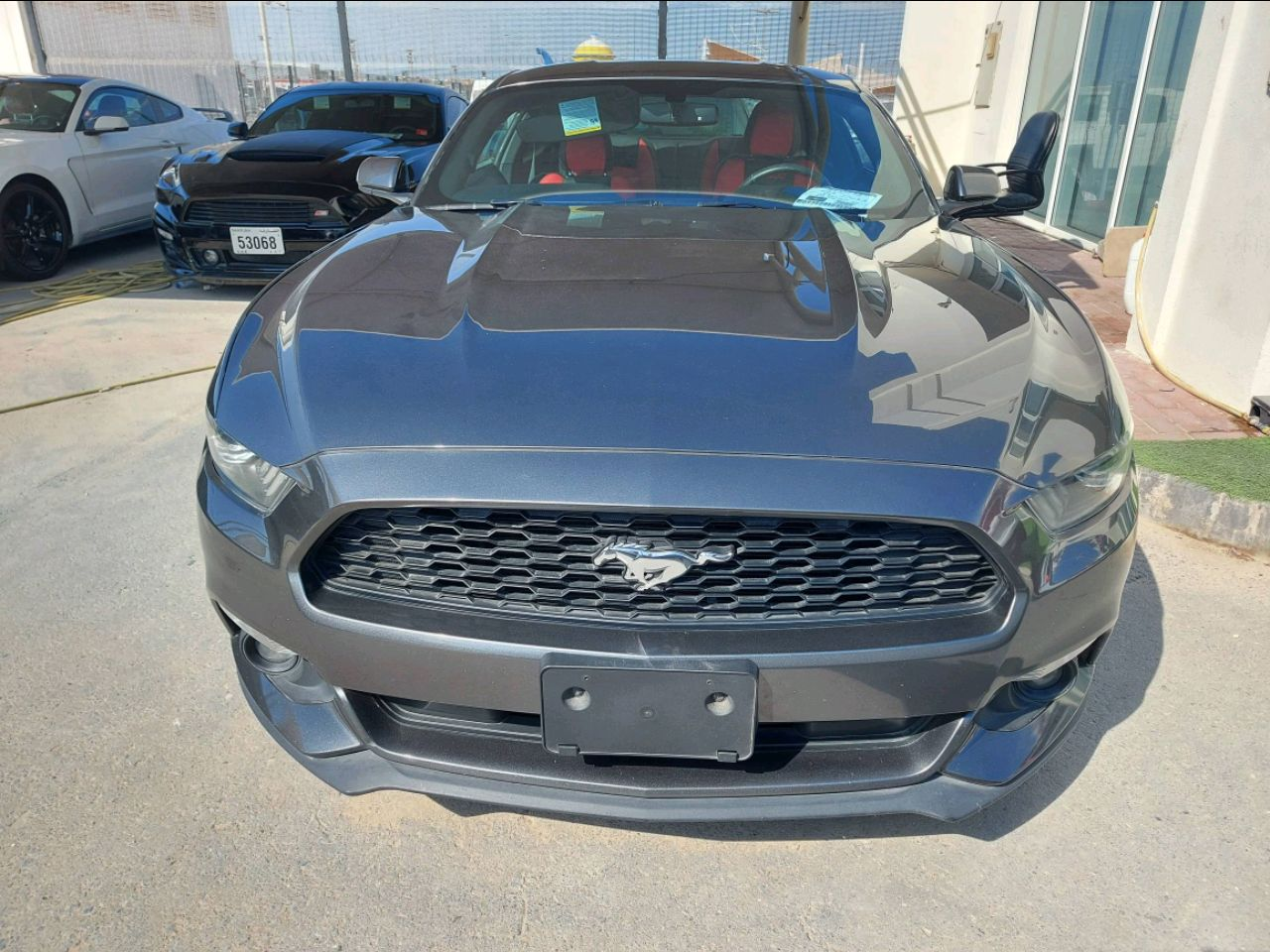 Ford Mustang - Image 4