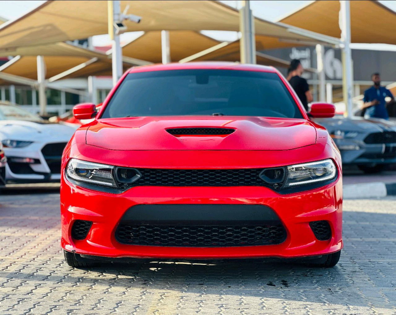 Dodge Charger - Image 3