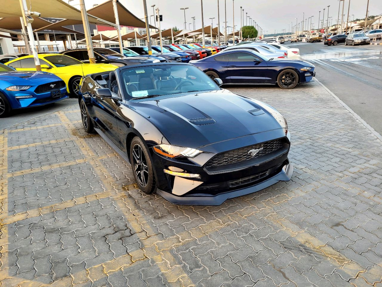 Ford Mustang - Image 4