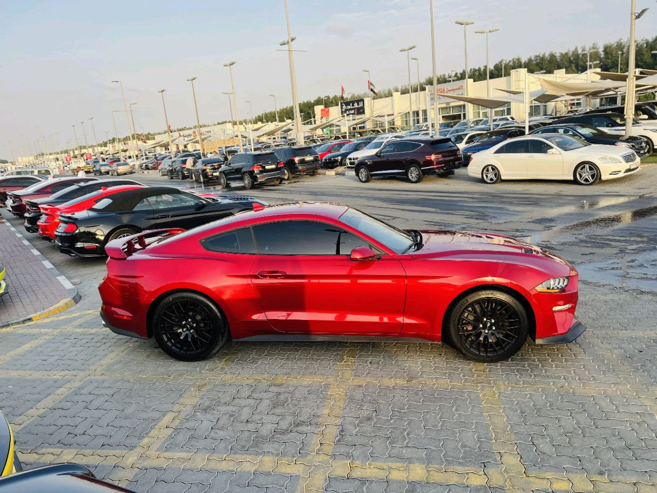 Ford Mustang - Image 5