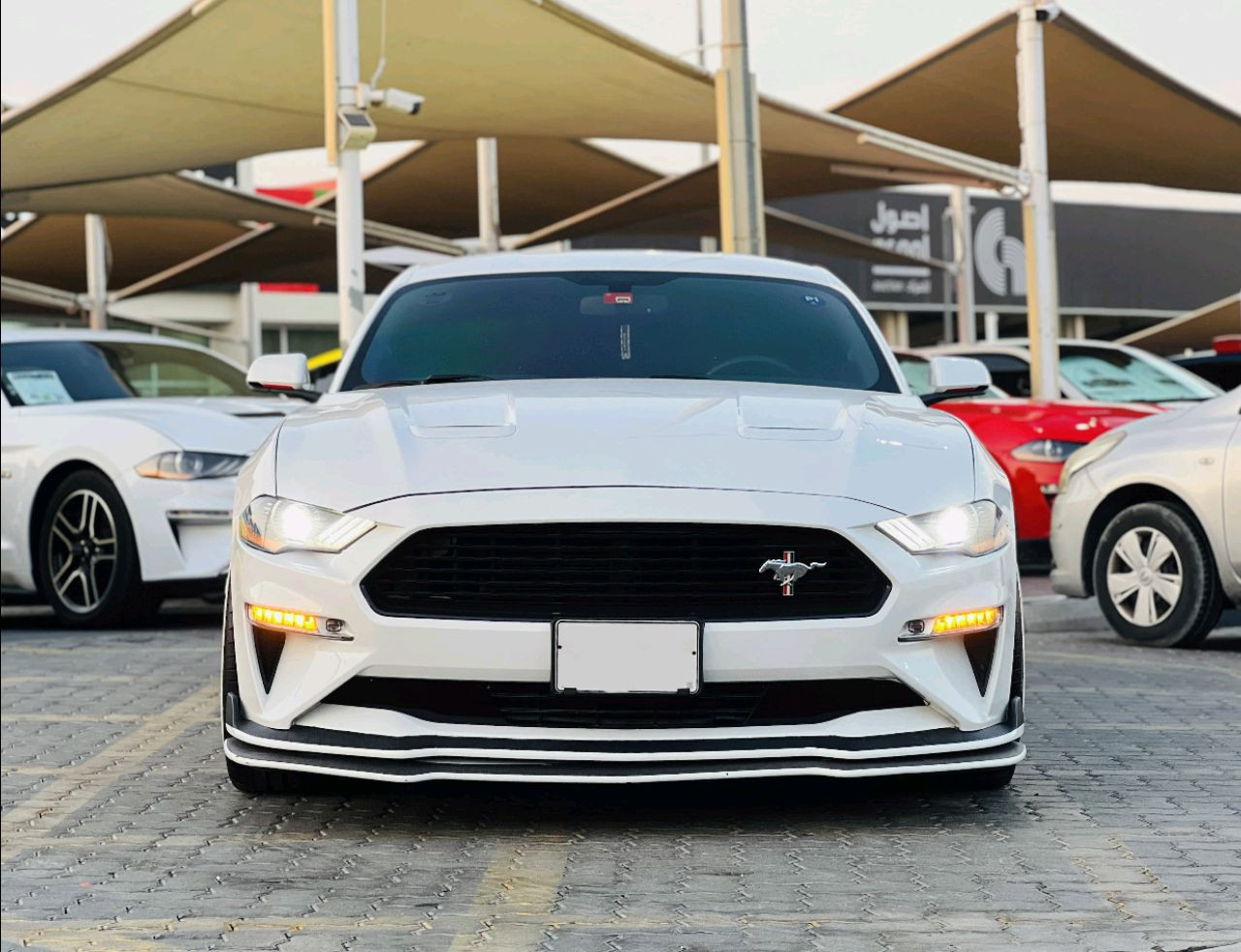 Ford Mustang - Image 3