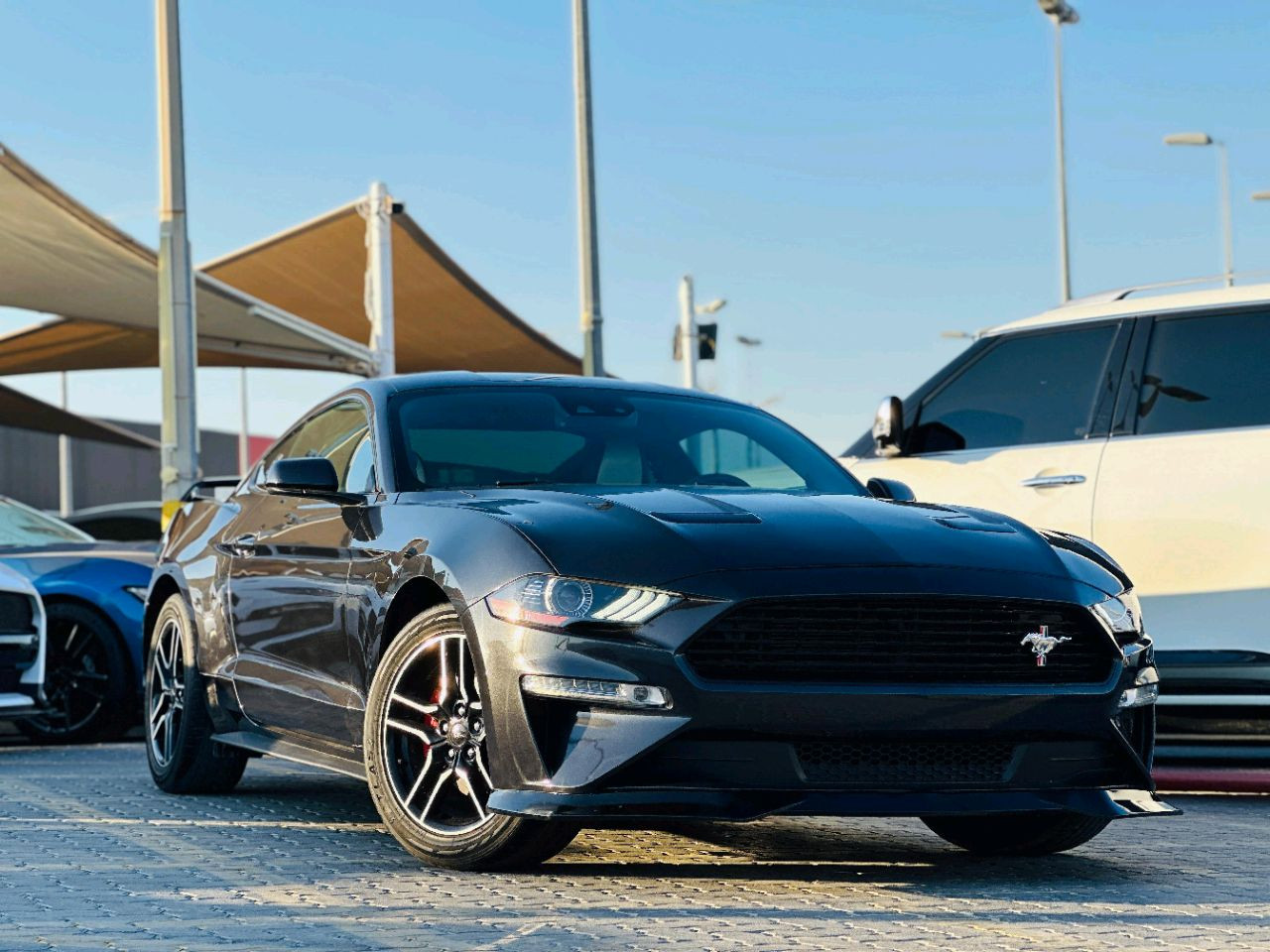 Ford Mustang - Image 4