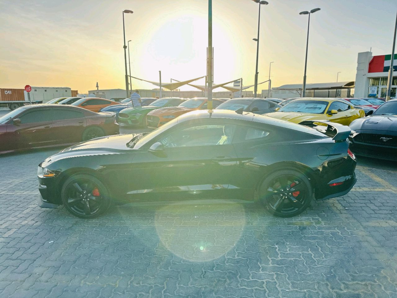Ford Mustang - Image 6