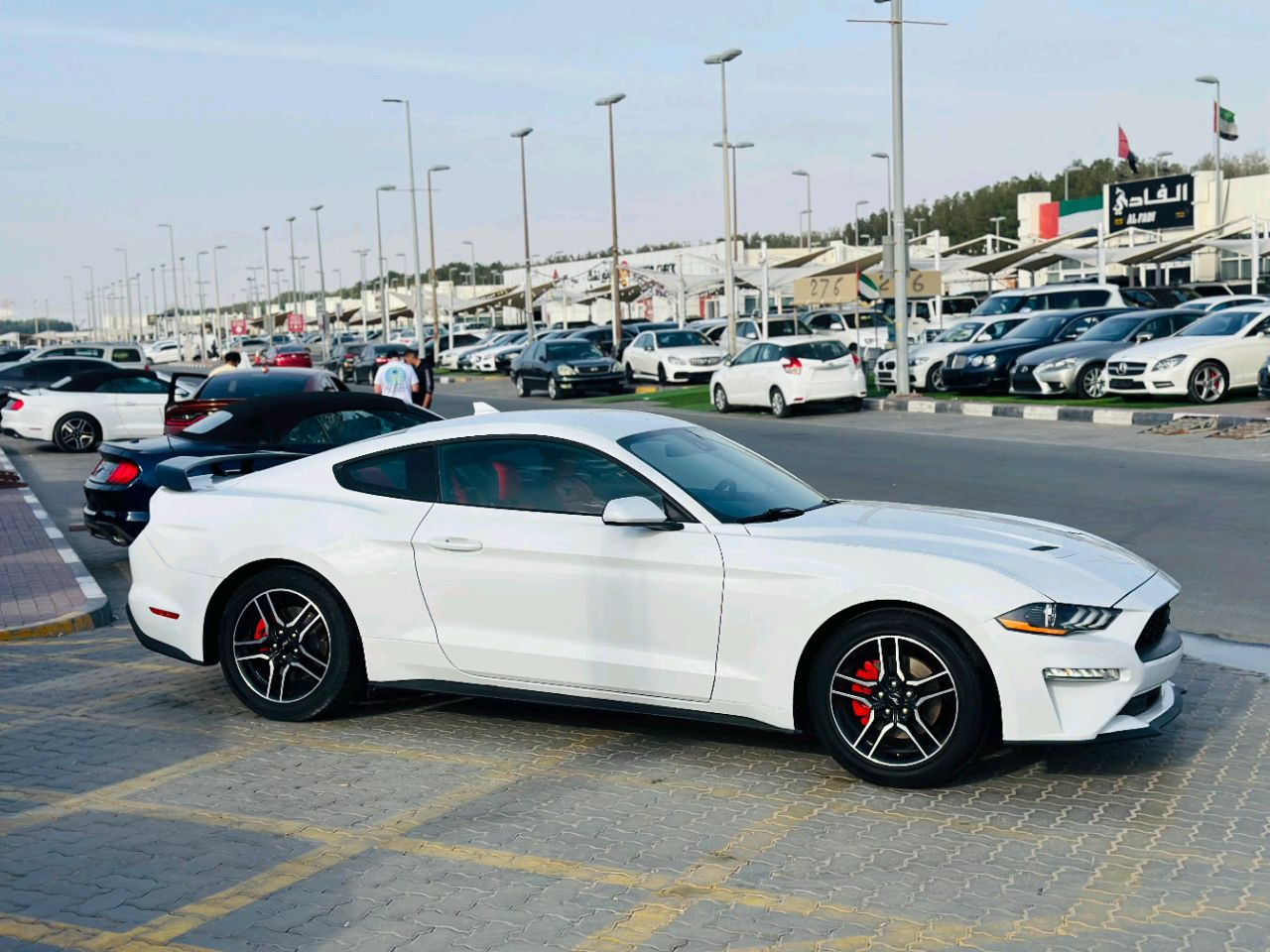 Ford Mustang - Image 5