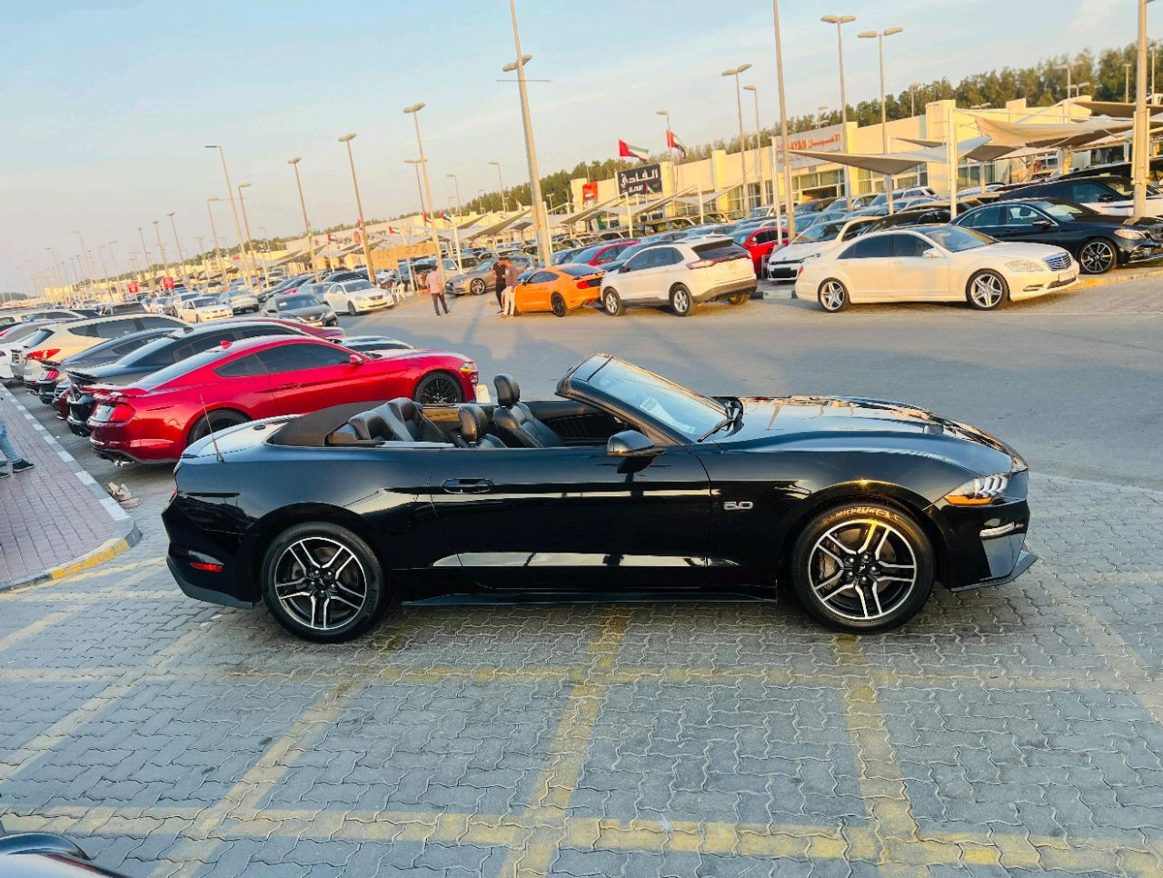Ford Mustang - Image 6