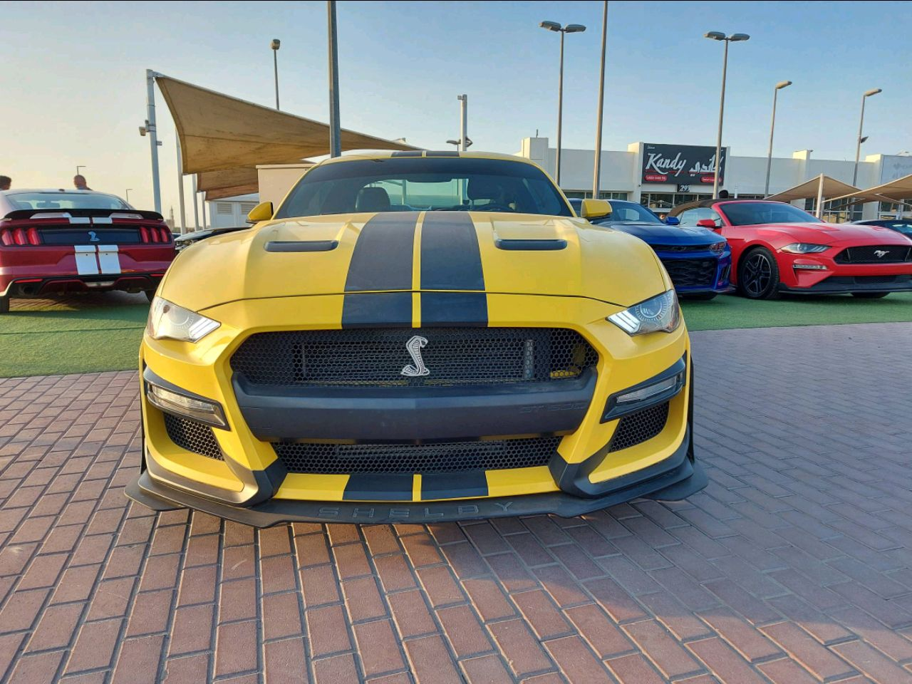 Ford Mustang - Image 4