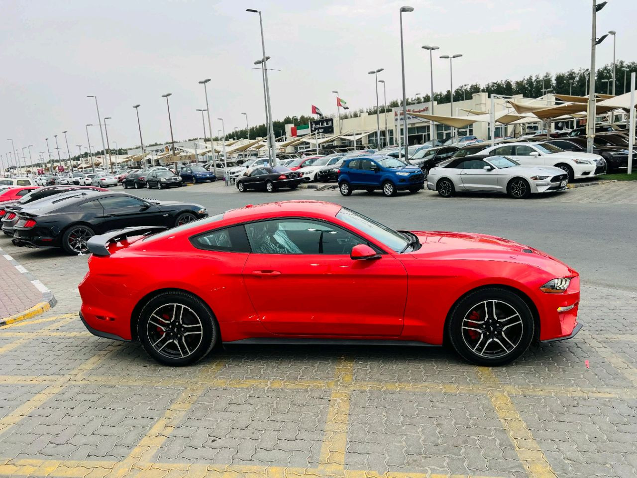 Ford Mustang - Image 5