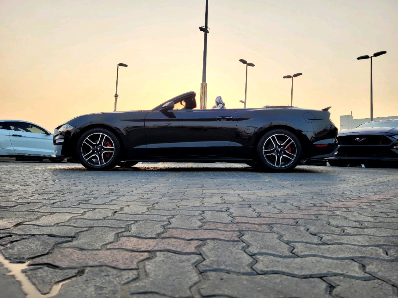 Ford Mustang - Image 6
