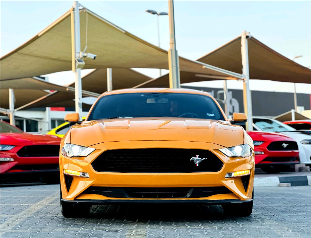 Ford Mustang - Image 12