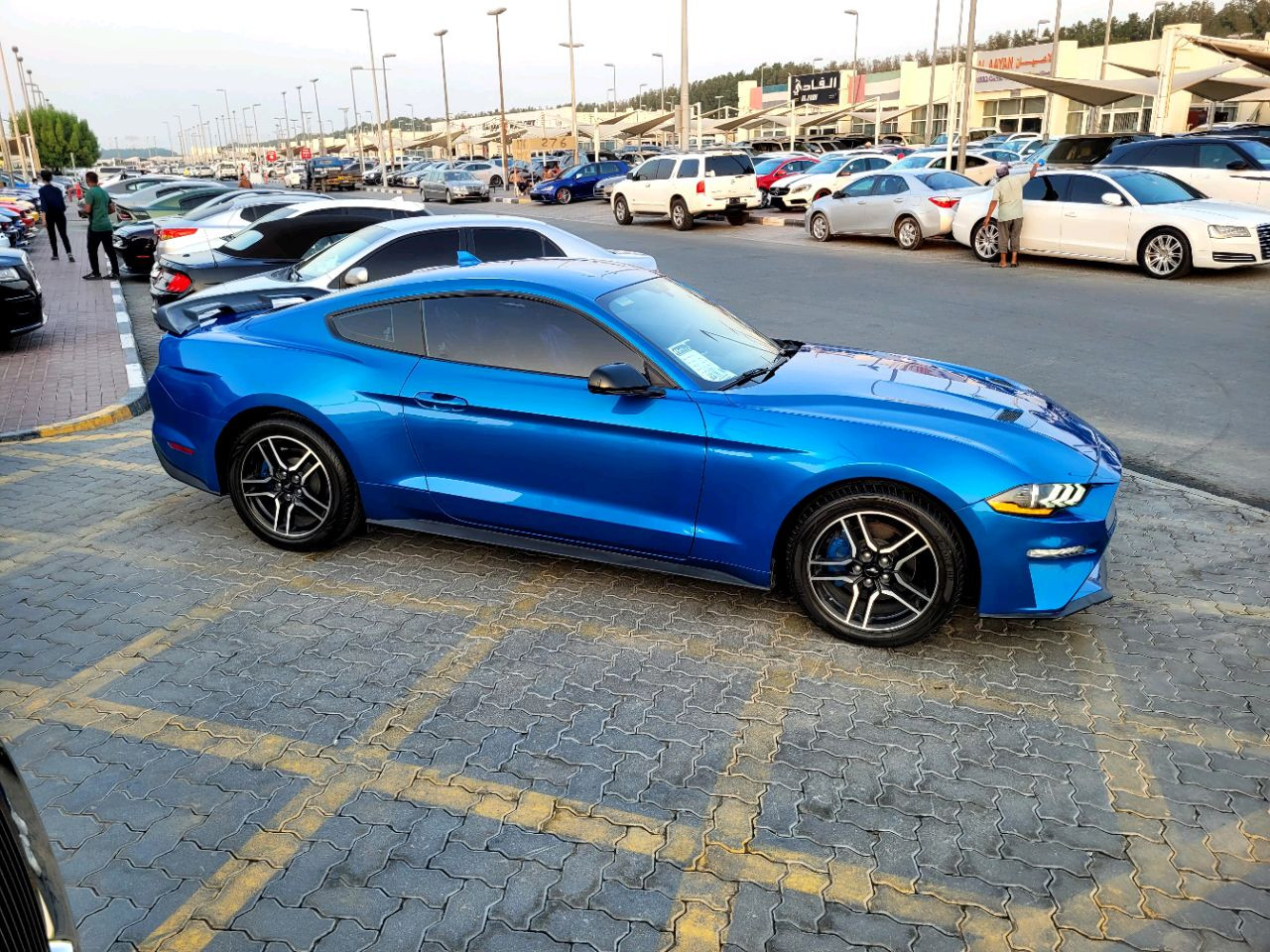 Ford Mustang - Image 6