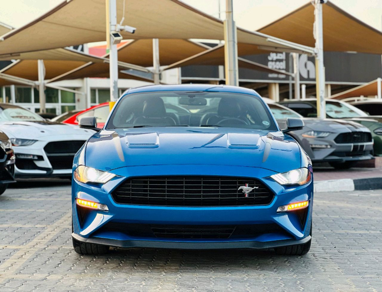 Ford Mustang - Image 3