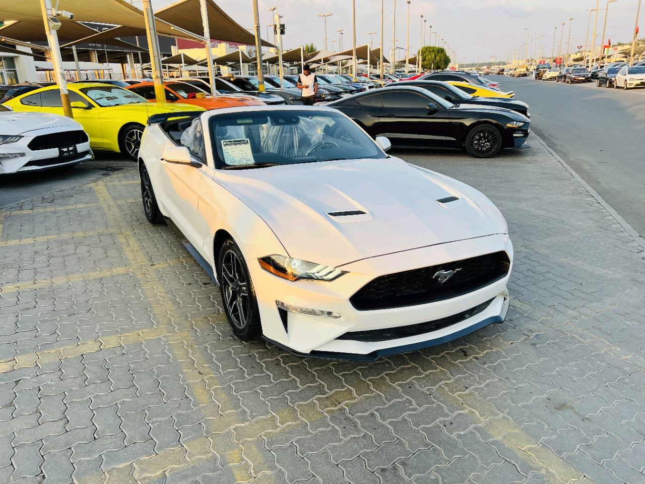 Ford Mustang - Image 10