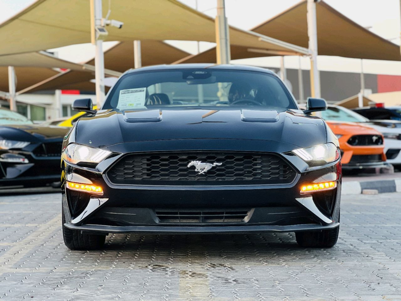 Ford Mustang - Image 5
