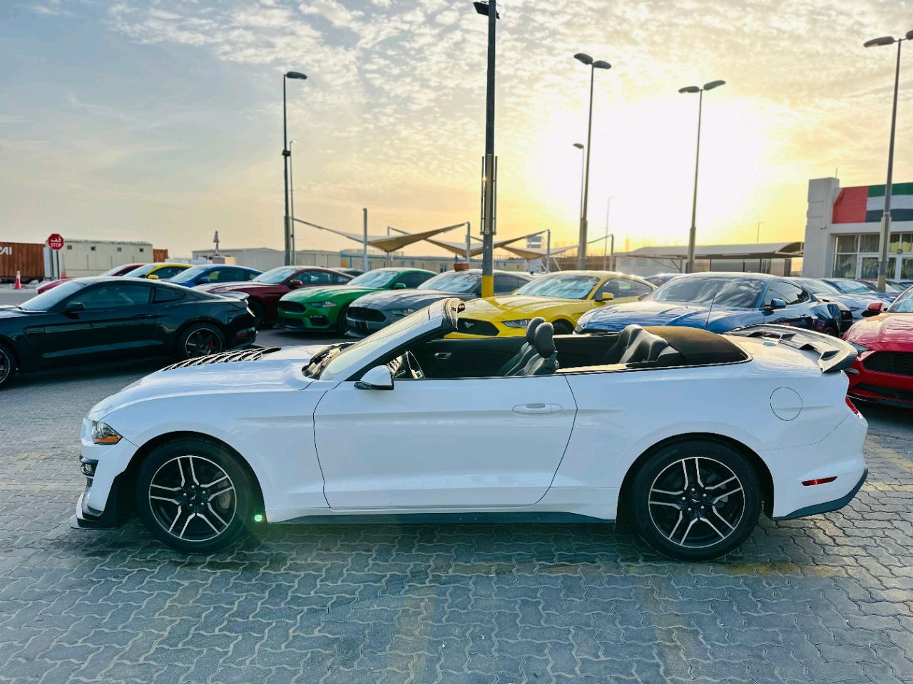 Ford Mustang - Image 6
