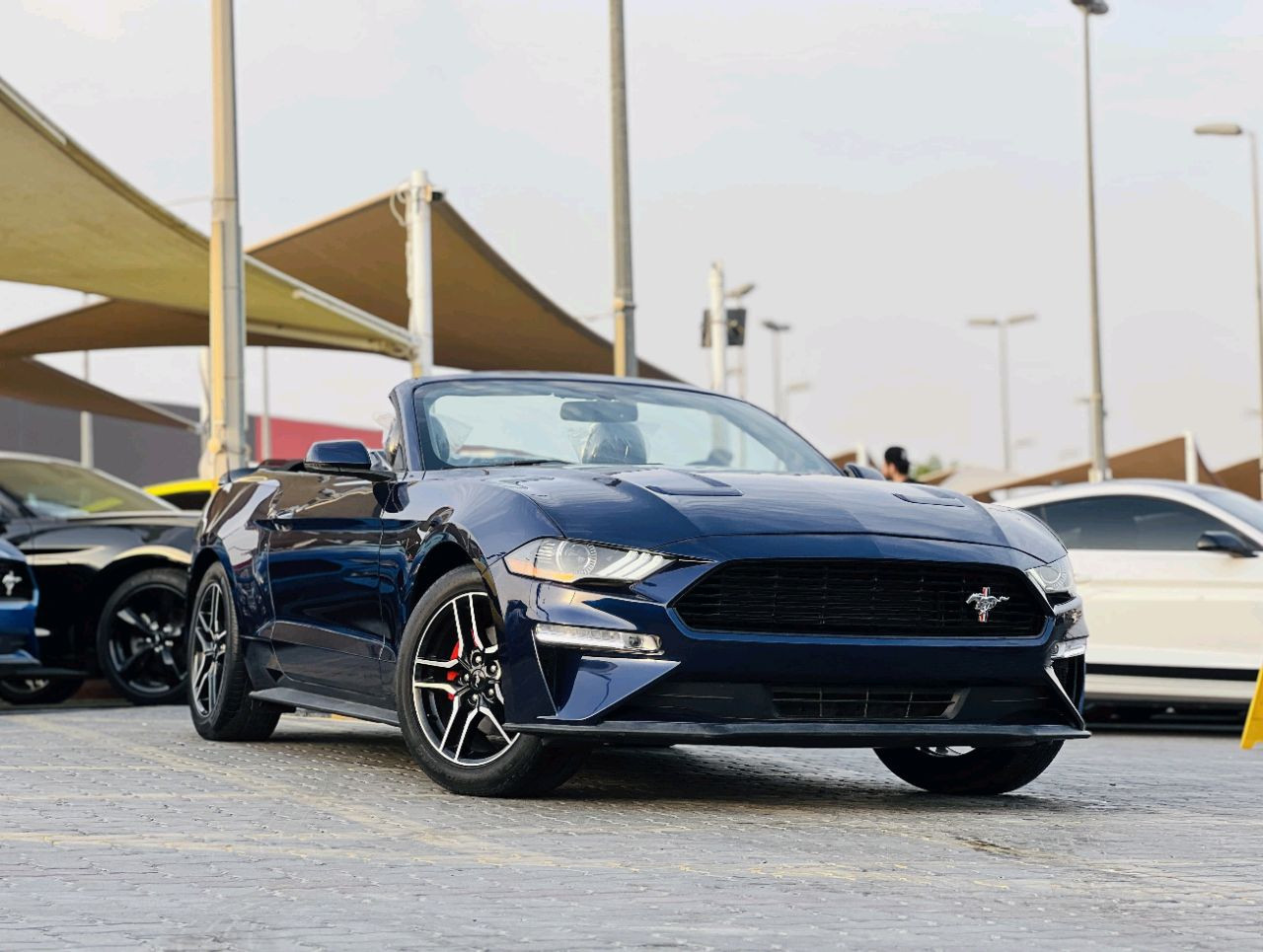 Ford Mustang - Image 3