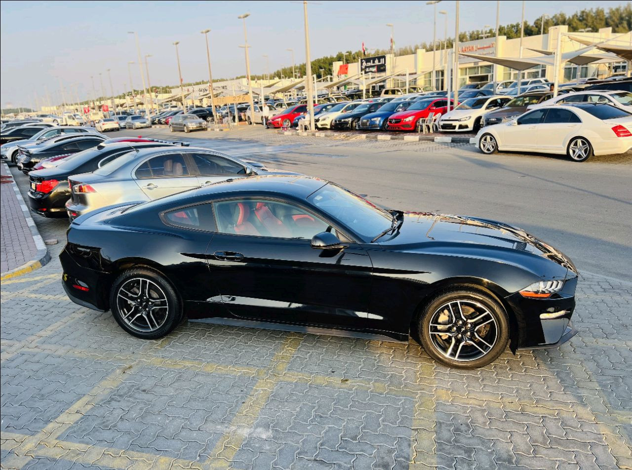 Ford Mustang - Image 5
