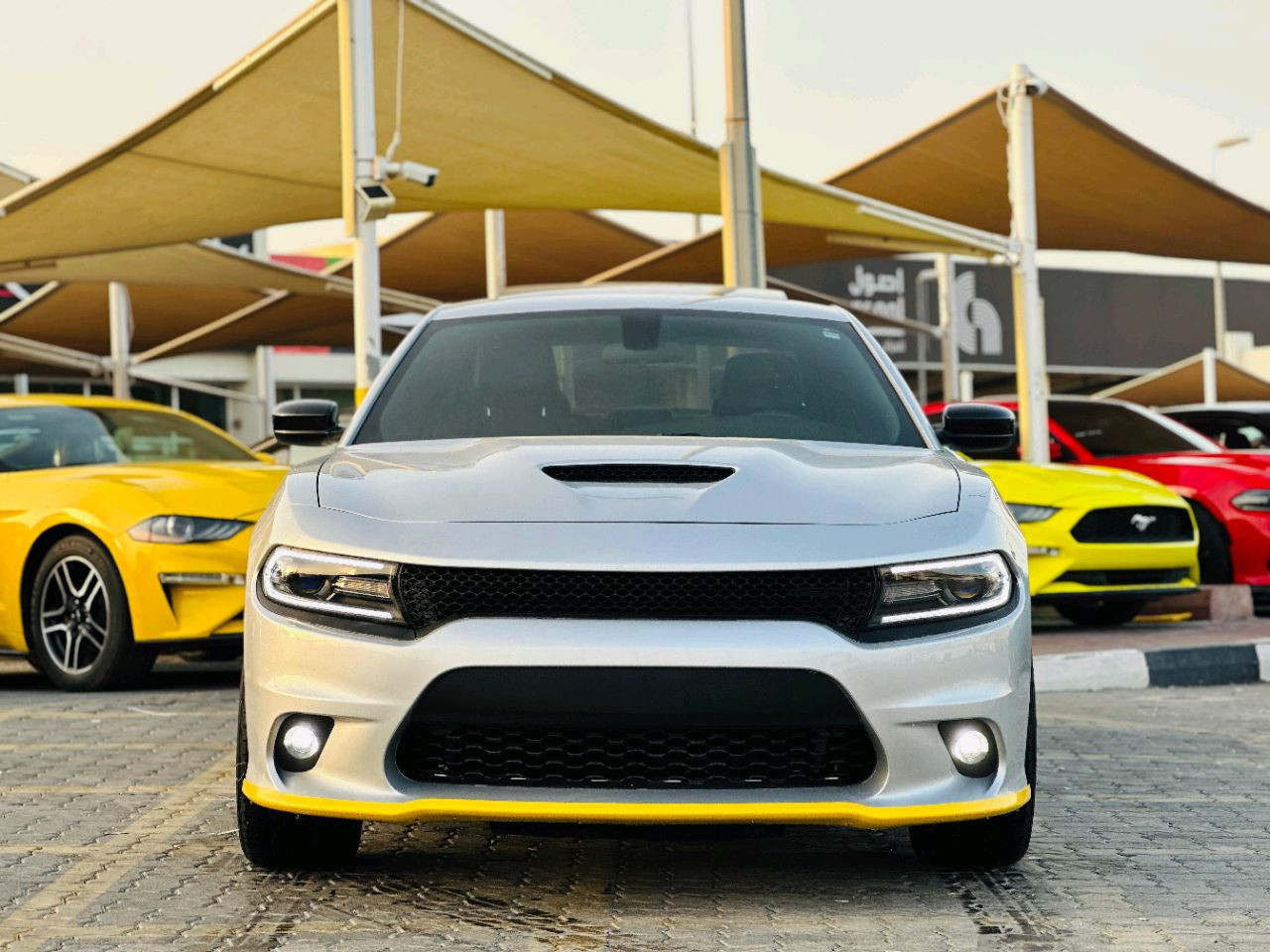 Dodge Charger - Image 3
