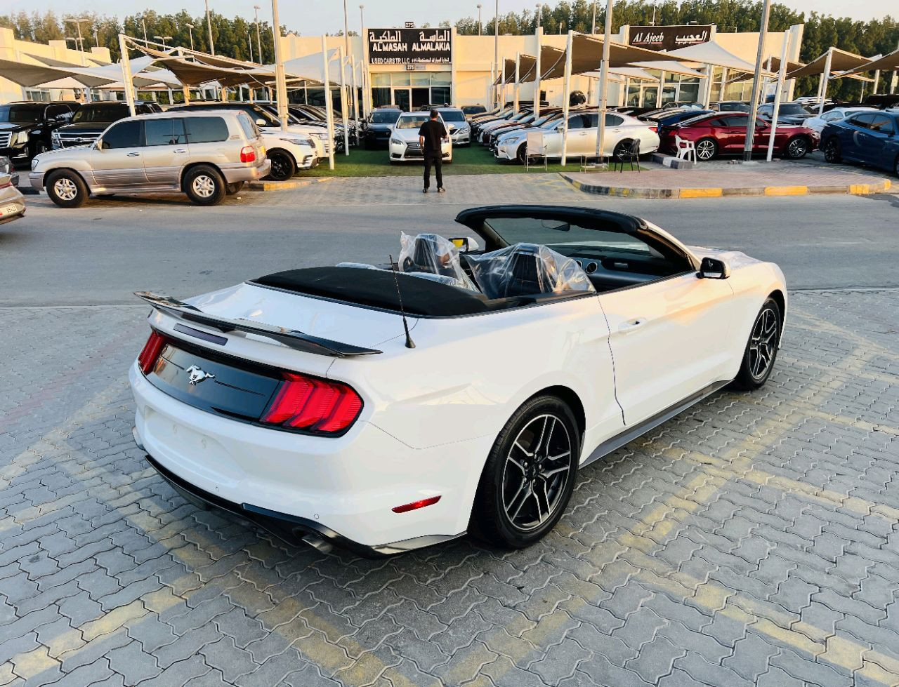 Ford Mustang - Image 4