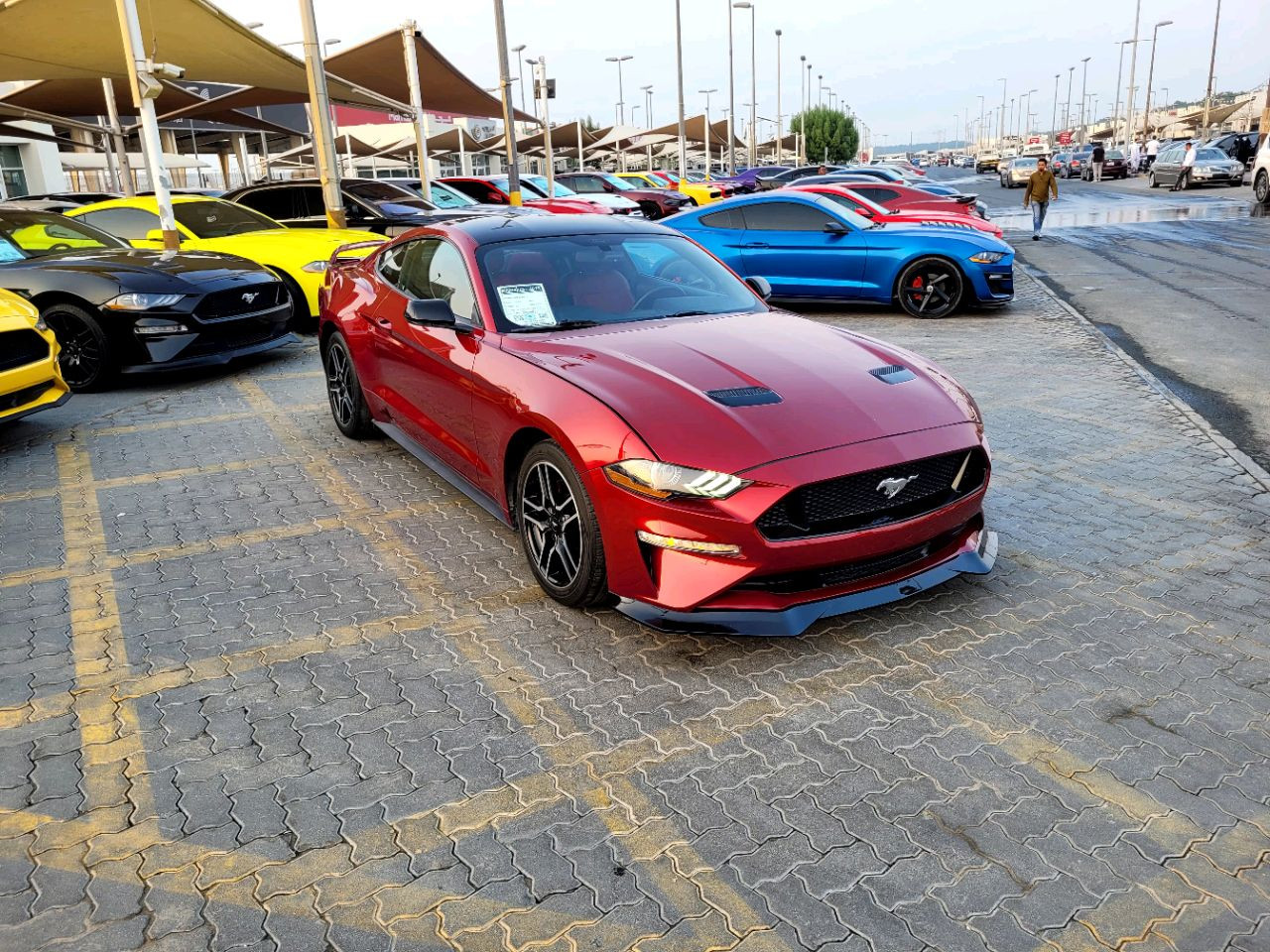 Ford Mustang - Image 4
