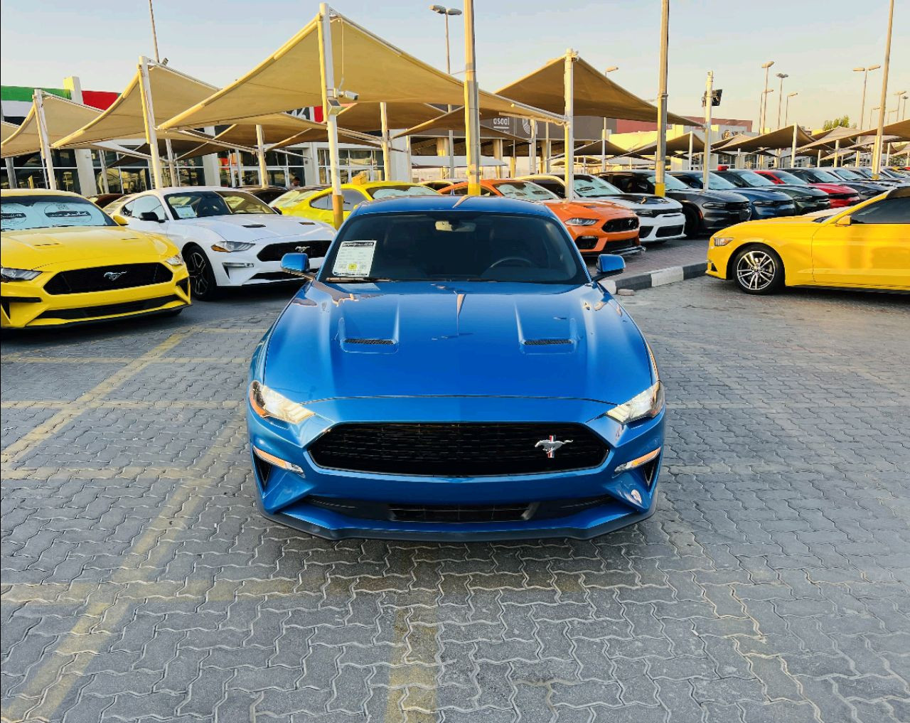 Ford Mustang - Image 6