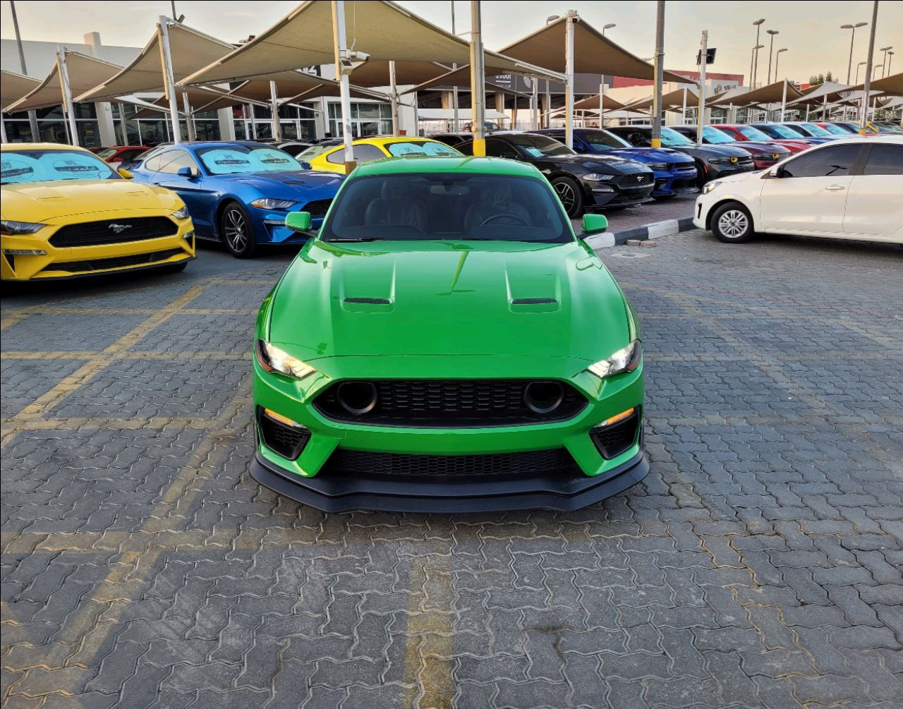 Ford Mustang - Image 3