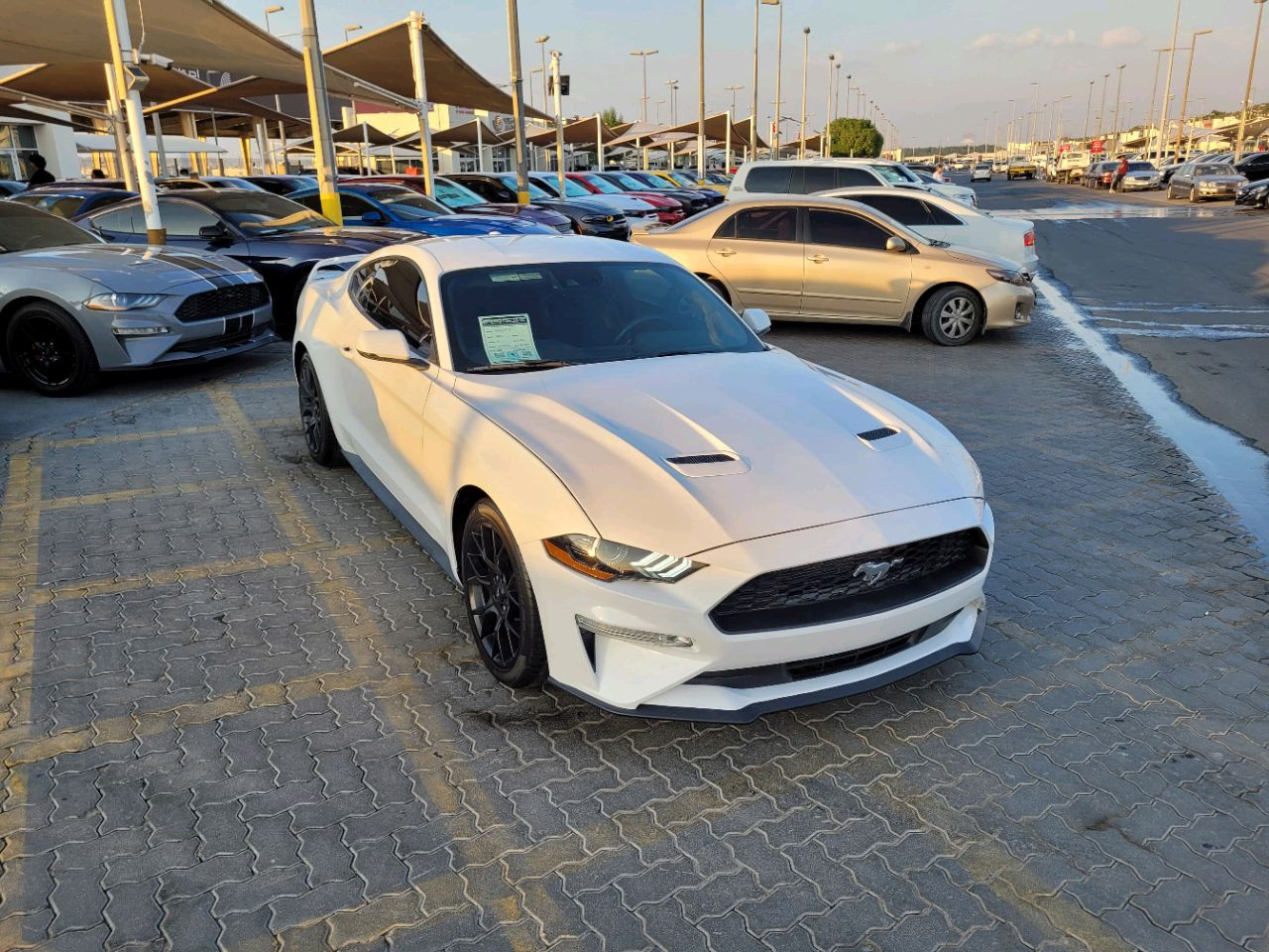 Ford Mustang - Image 4
