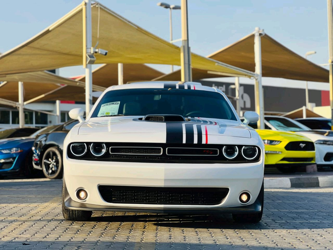 Dodge Challenger - Image 3