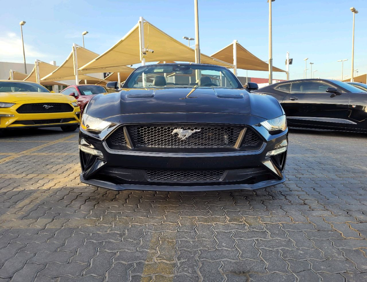 Ford Mustang - Image 3