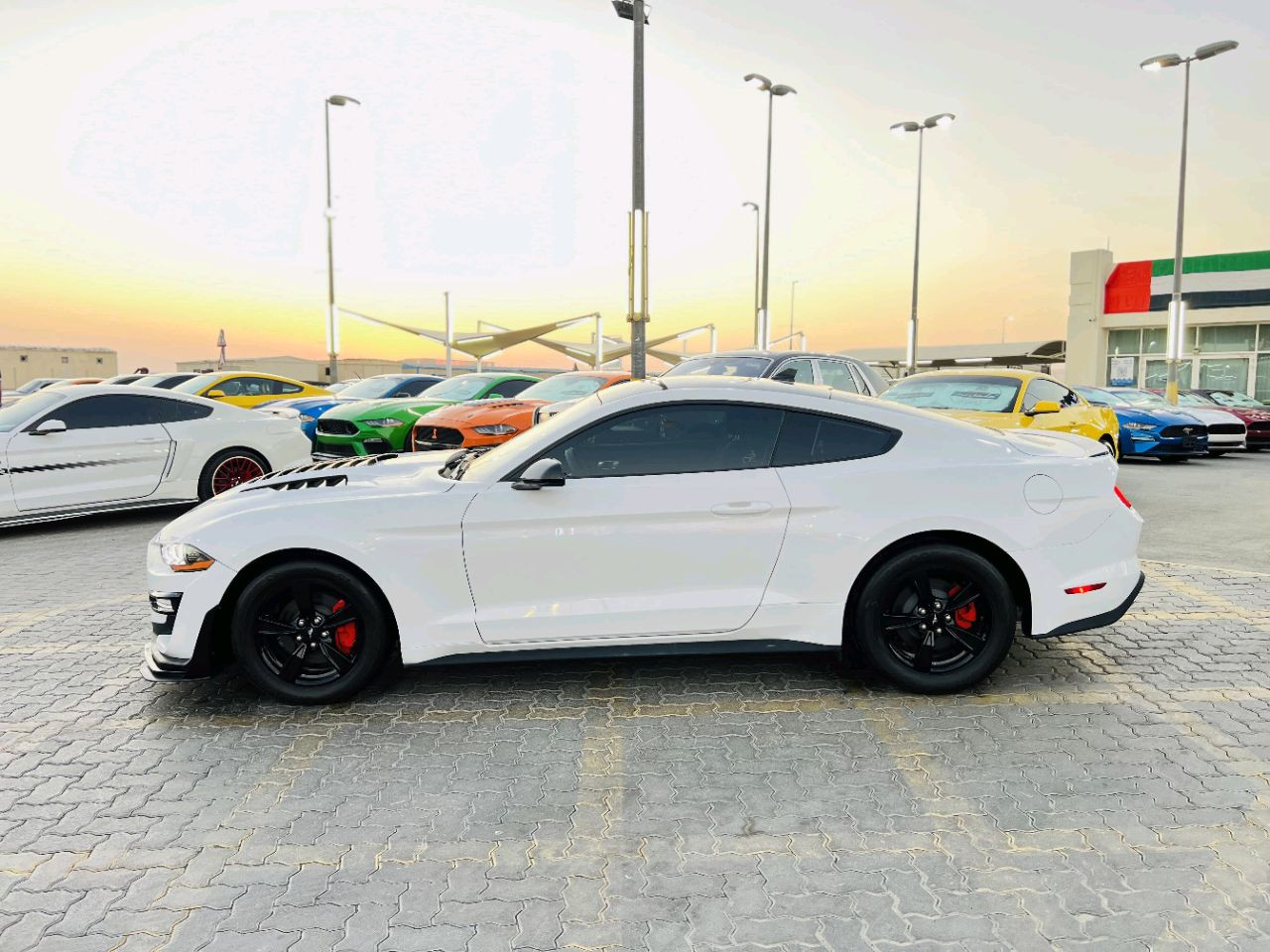 Ford Mustang - Image 5