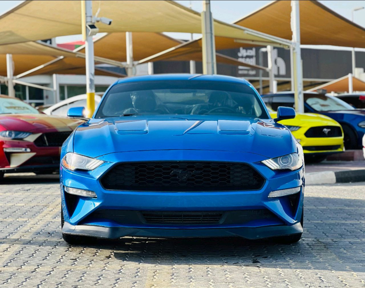 Ford Mustang - Image 2