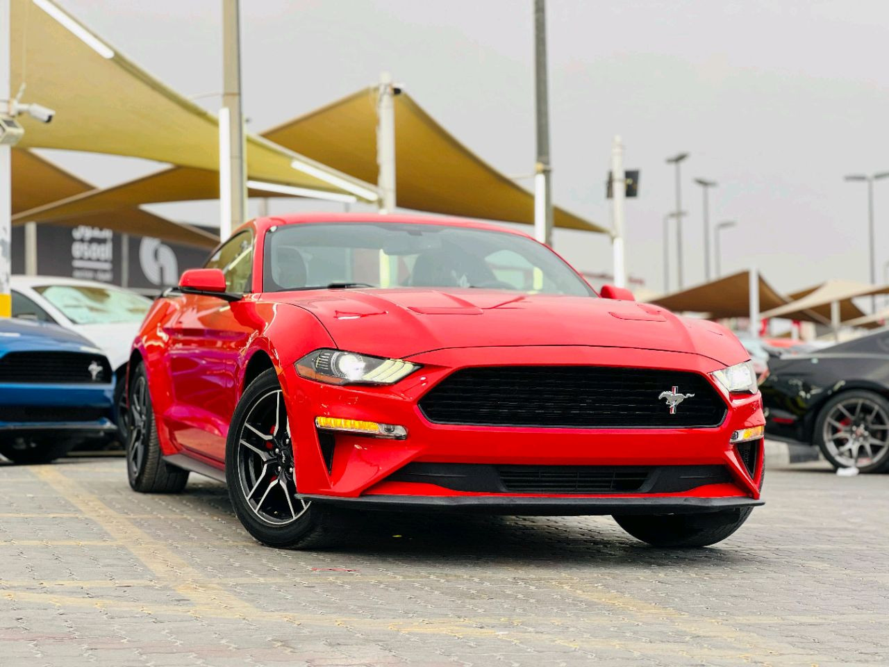 Ford Mustang - Image 4