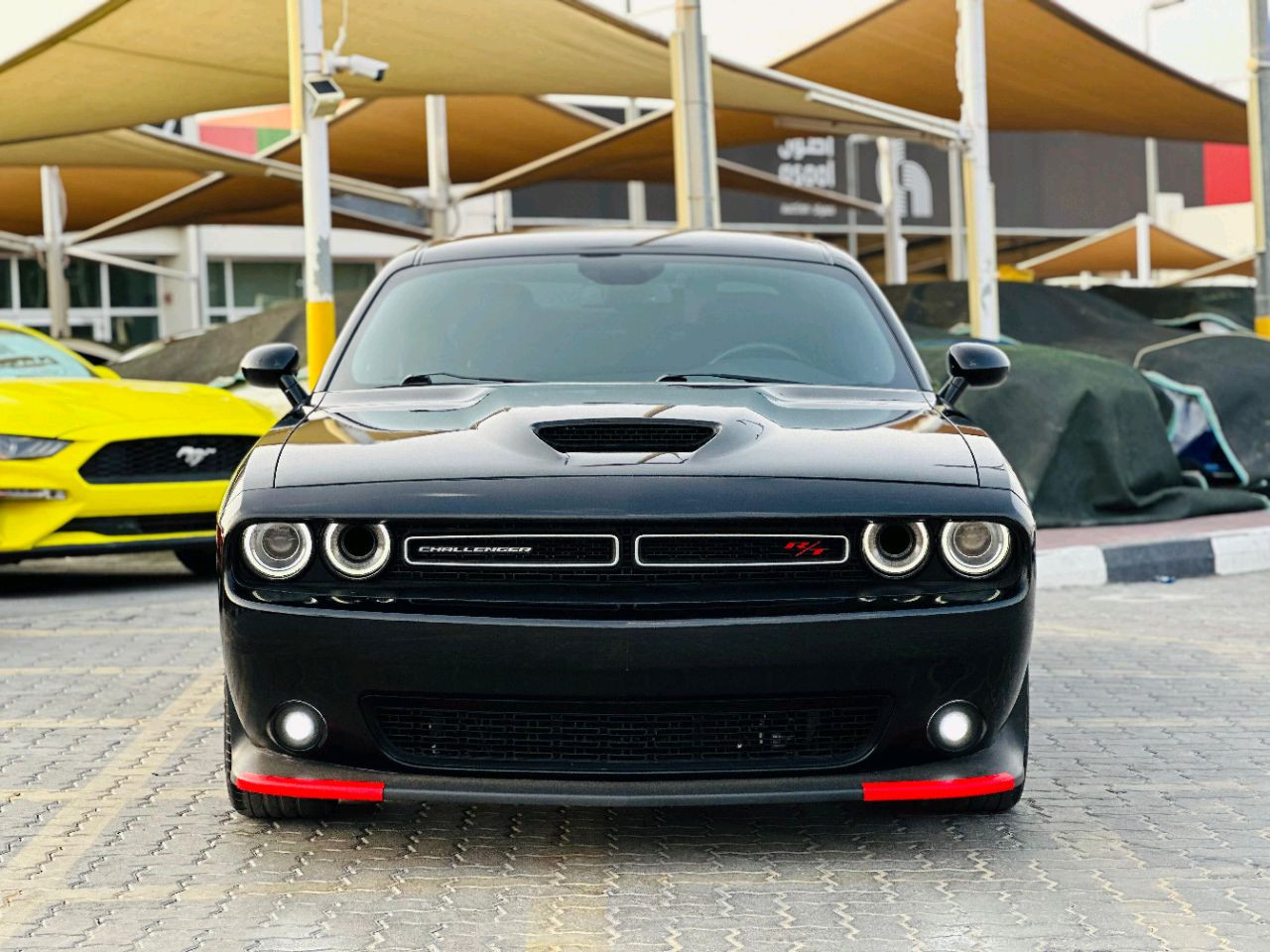 Dodge Challenger - Image 3