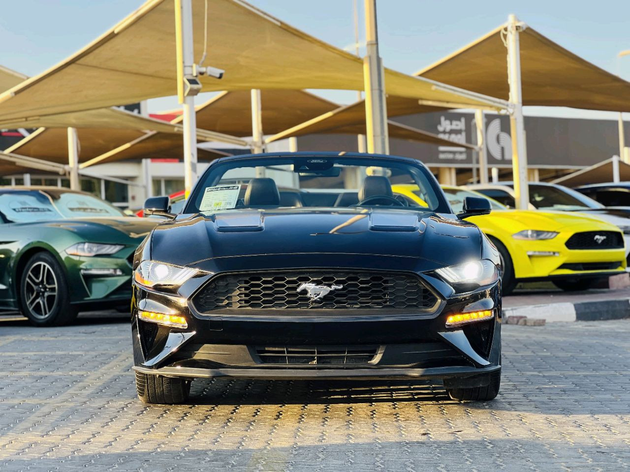 Ford Mustang - Image 12
